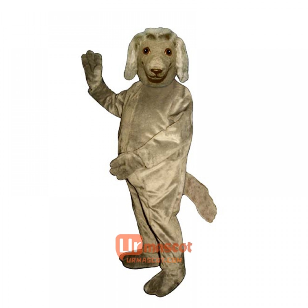 Afghan Cartoon Costume Mascot