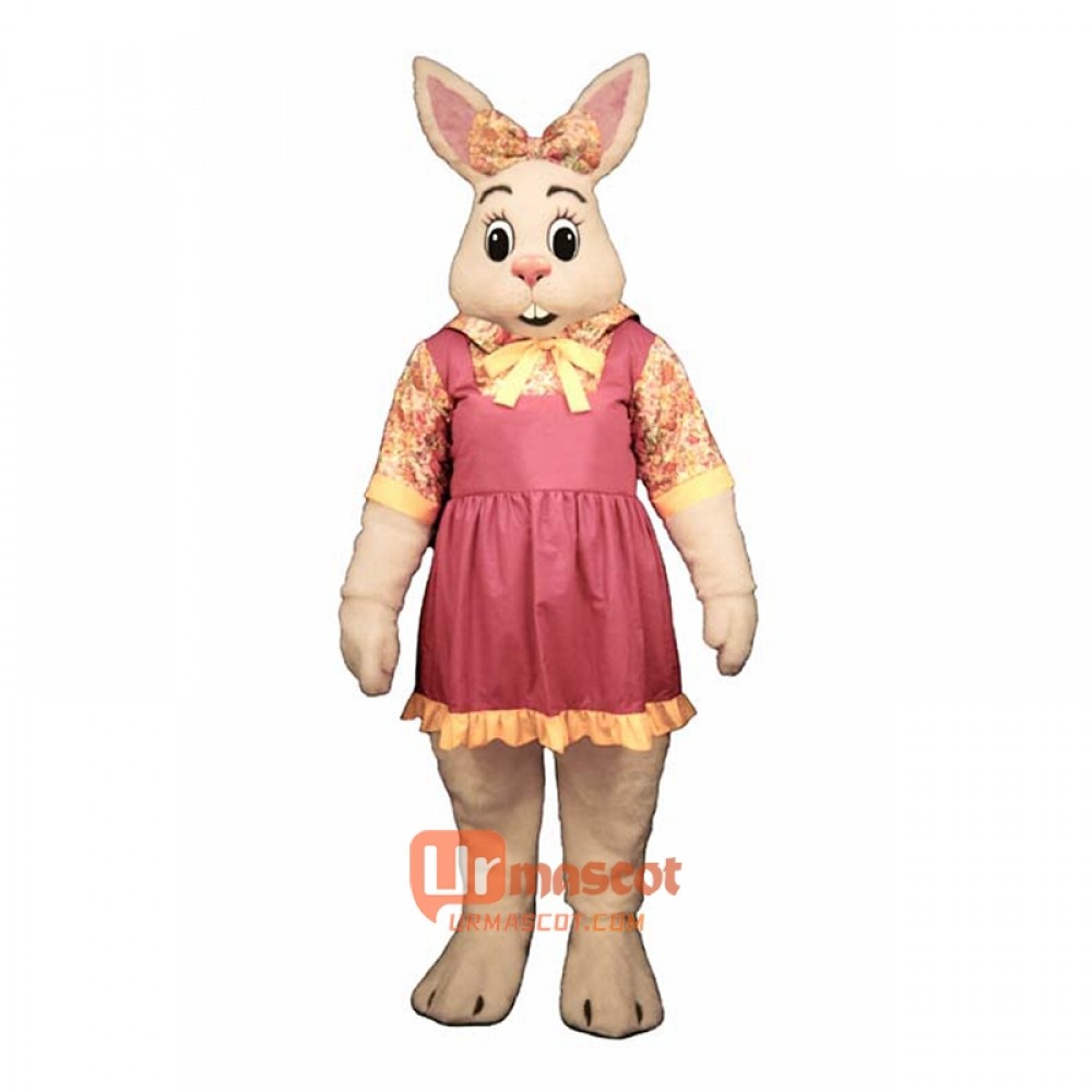 Alice-Bunny Cartoon Costume Mascot