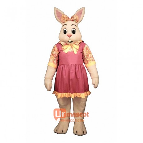 Alice-Bunny Cartoon Costume Mascot