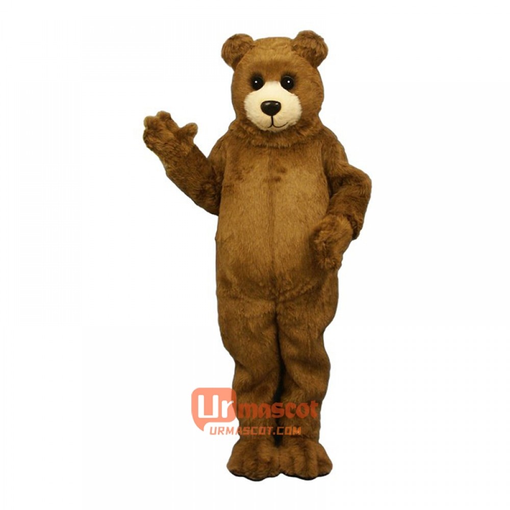 Baby Bruin Custom Cartoon Mascot Costume
