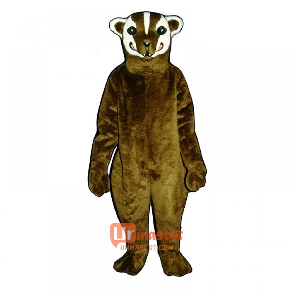 Badger Cartoon Costume Mascot
