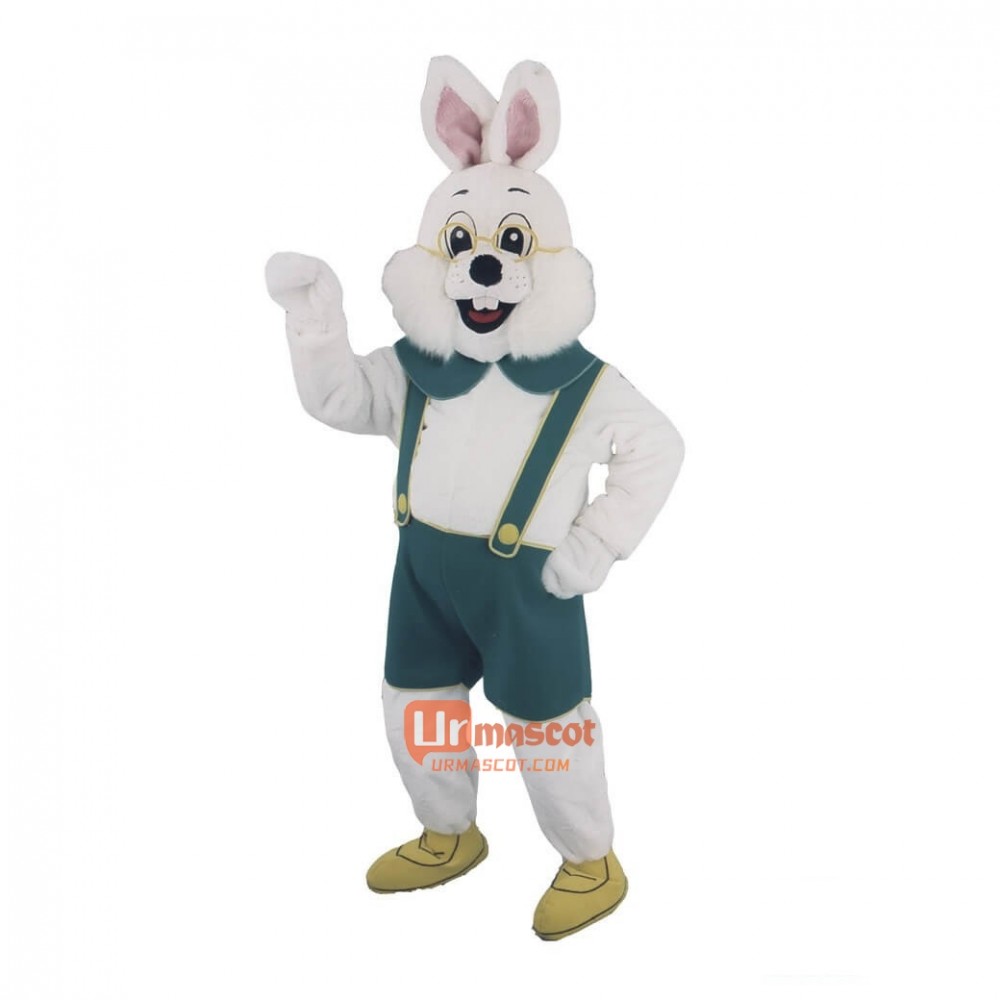 Bavarian Rabbit Cartoon Mascot Costume Plush with Mask