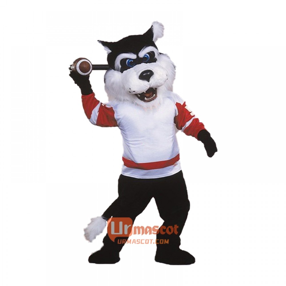 Bearcat Cartoon Costume Mascot