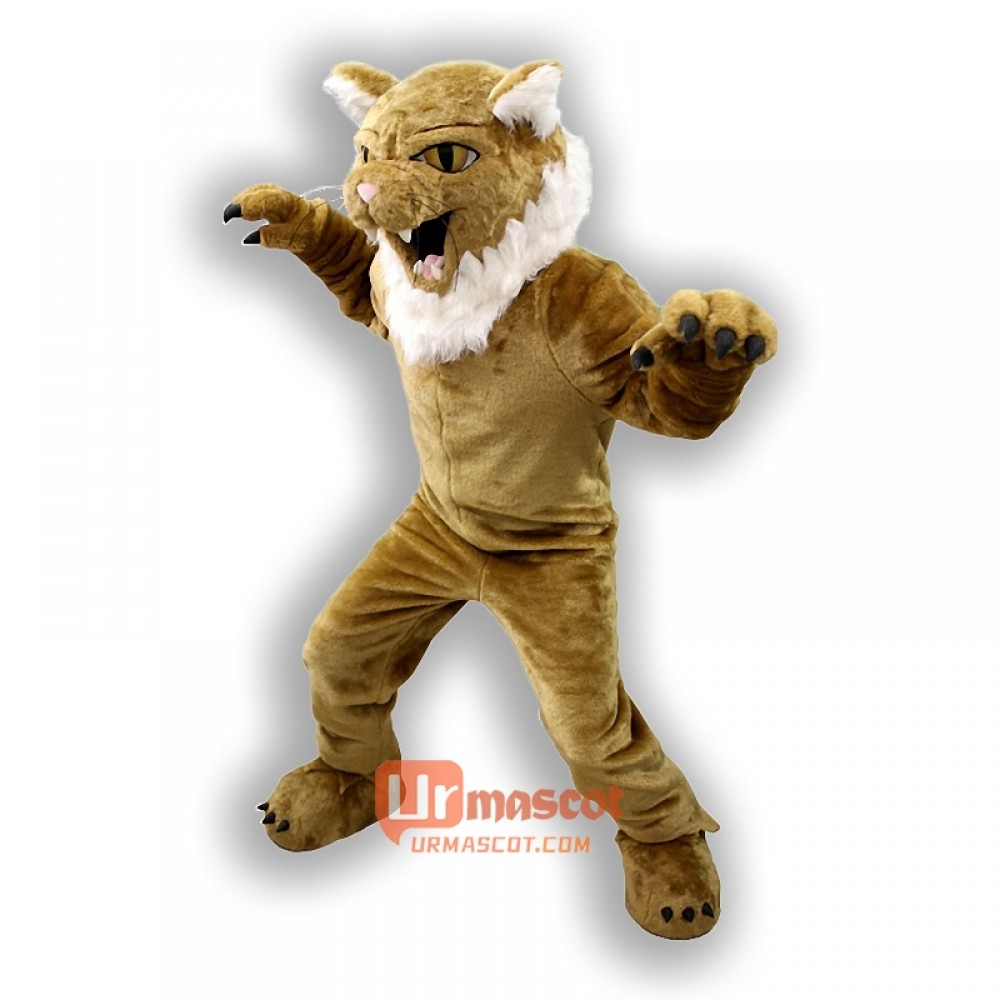 Bearcat Mascot Costume Cosplay Outfits