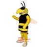 Beesley Bee Custom Cartoon Mascot Costume
