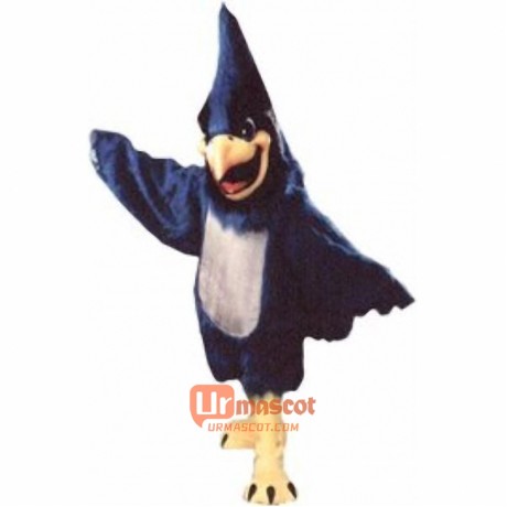 Big Blue Jay Cartoon Mascot Costume Cosplay Outfits