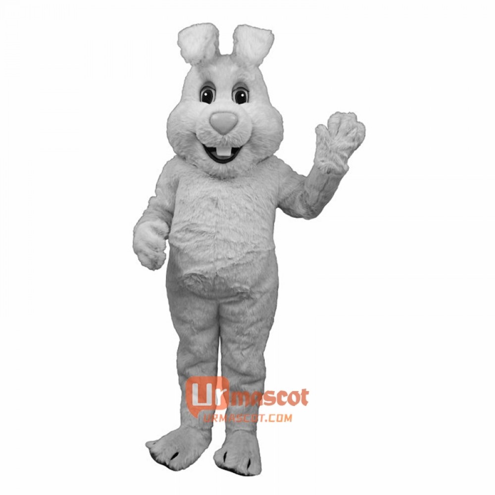 Big Hopper Cartoon Costume Mascot