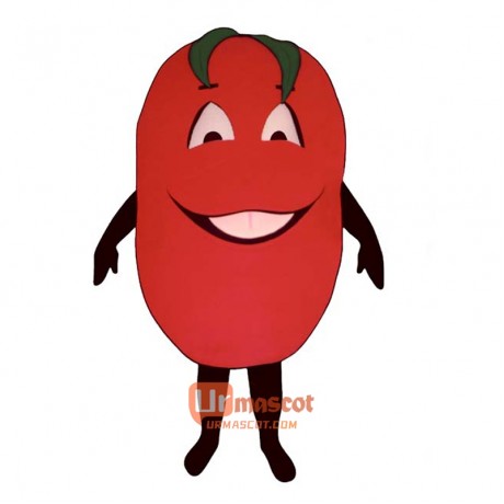 Big Tomato (Bodysuit not included) Cartoon Costume Mascot