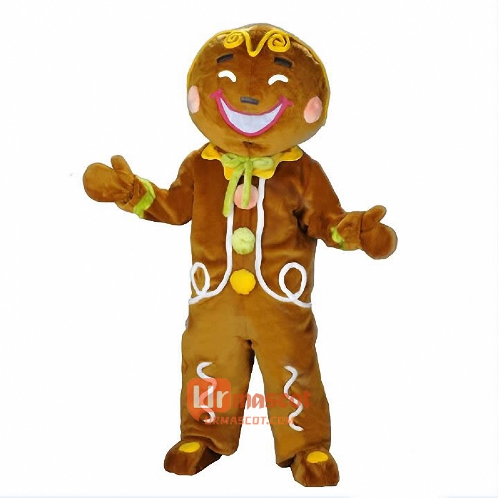 Birthday cake Custom Cartoon Mascot Costume