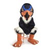 Blue Hawk Mascot Costume Cosplay Outfits