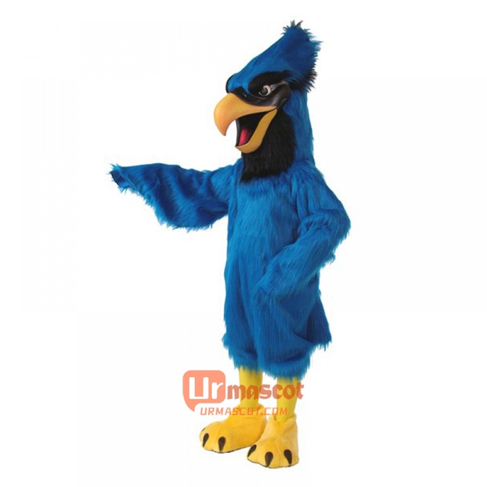 Blue Jay Cartoon Costume Mascot