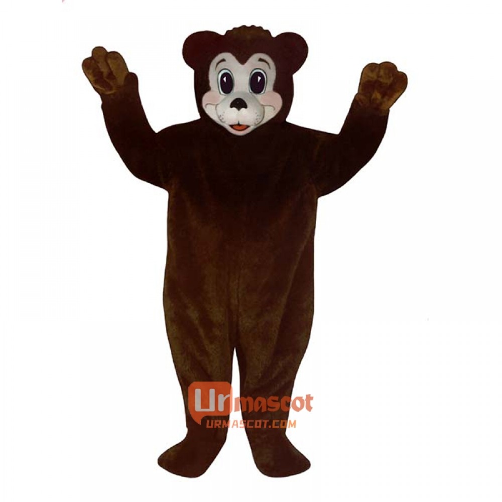 Bobbie Bear Custom Cartoon Mascot Costume