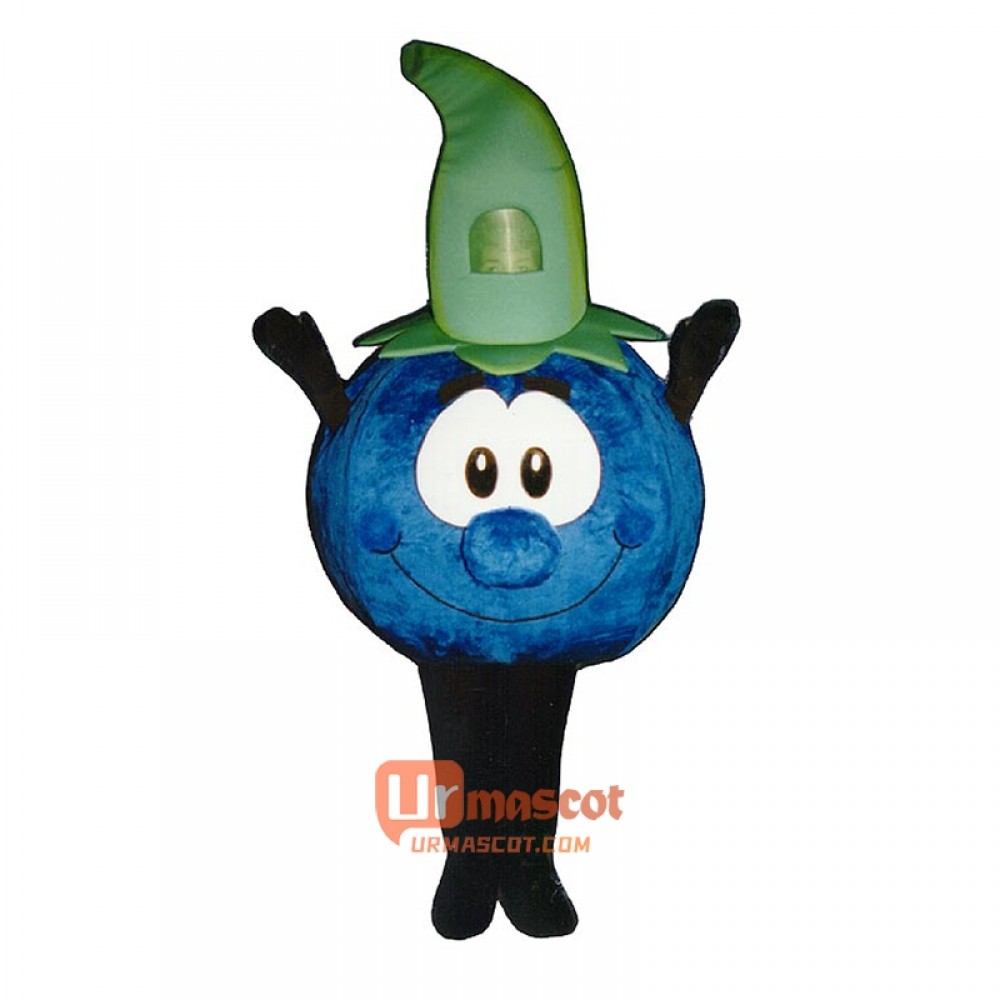 Bobbie Blueberry (Bodysuit not included) Cartoon Costume Mascot