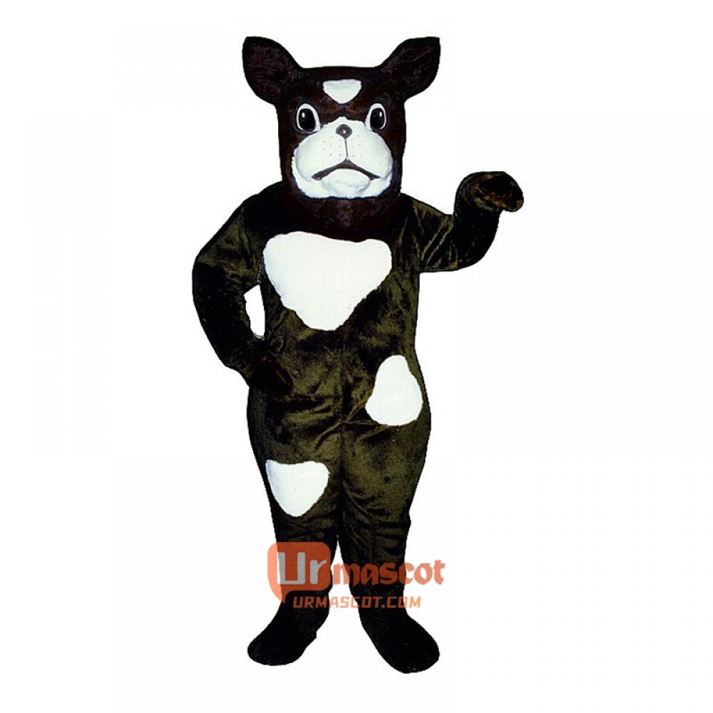 Boxer Cartoon Costume Mascot