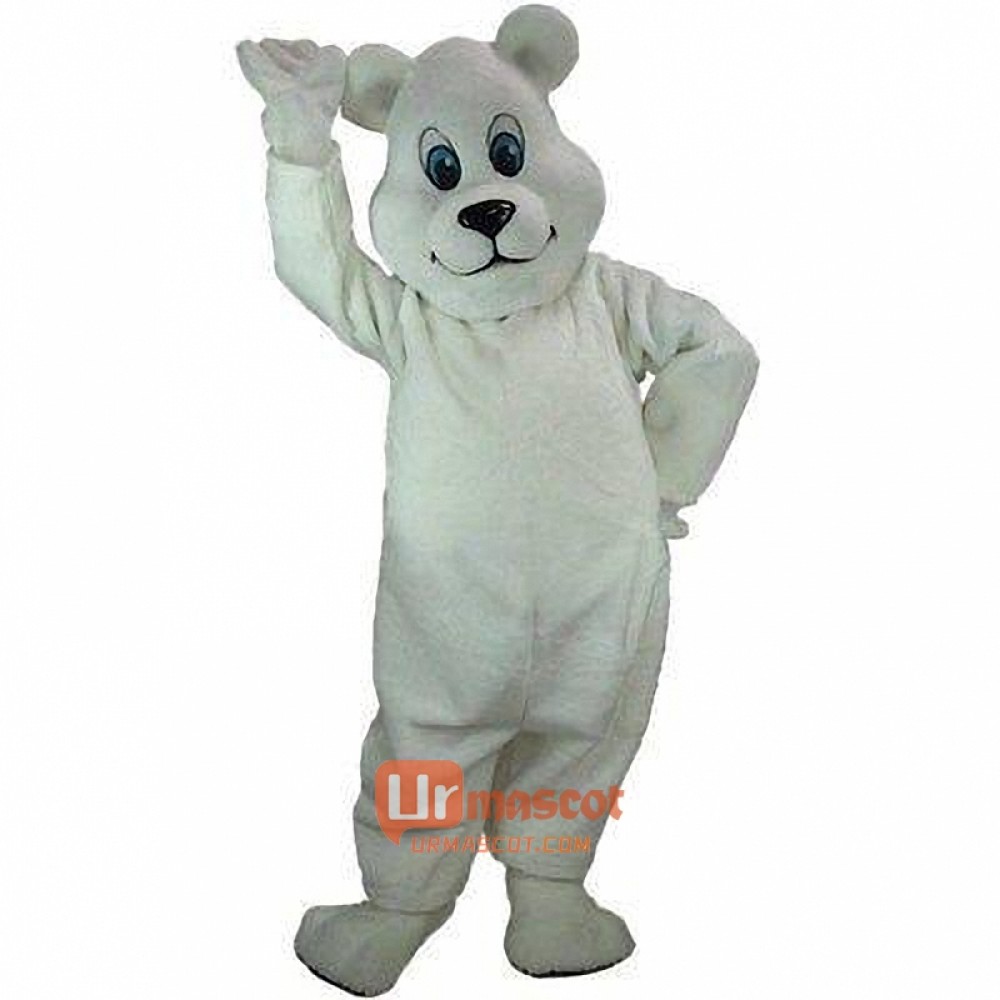Breezy Bear Cartoon Mascot Costume Cosplay Outfits