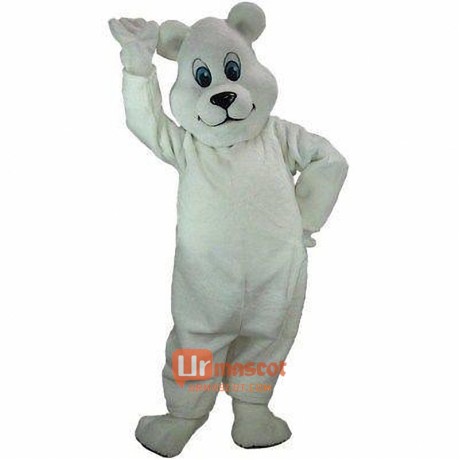 Breezy Bear Cartoon Mascot Costume Cosplay Outfits