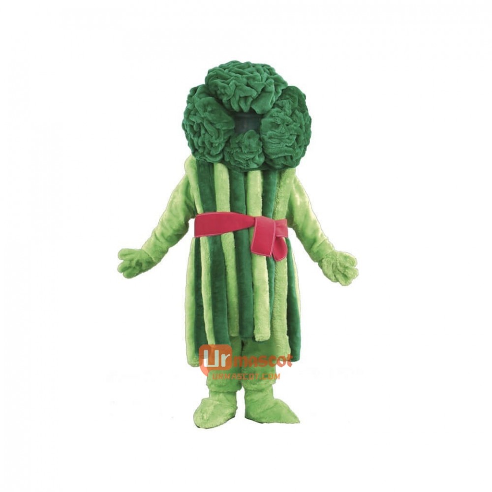 Broccoli Custom Cartoon Mascot Costume