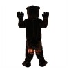 Brown Bear Cartoon Mascot Costume Plush with Mask