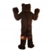 Brown Bear Cartoon Mascot Costume Plush with Mask