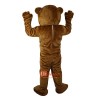 Brown Bear Ursusarctos Cartoon Mascot Costume Plush with Mask