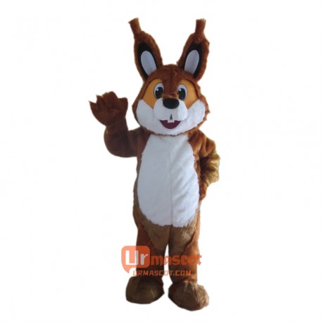 Brown Squirrel Custom Mascot Cartoon Costume