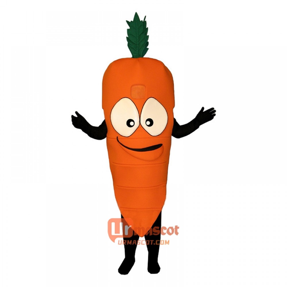 Bug Eyed Carrot (Bodysuit not included) Cartoon Costume Mascot