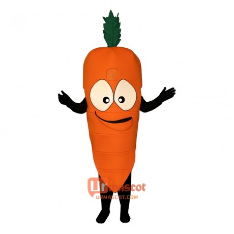 Bug Eyed Carrot (Bodysuit not included) Cartoon Costume Mascot