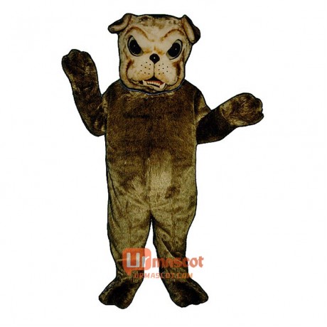 Bulldog Cartoon Costume Mascot