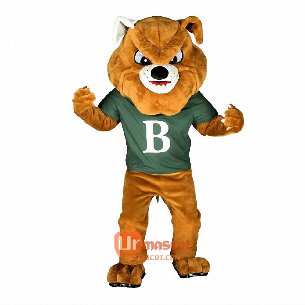 Bulldog Custom Cartoon Mascot Costume