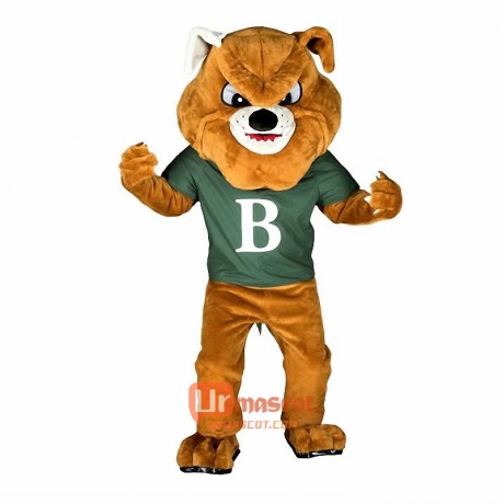 Bulldog Custom Cartoon Mascot Costume