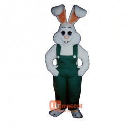 Bunny Boy Cartoon Costume Mascot