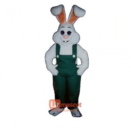 Bunny Boy Cartoon Costume Mascot
