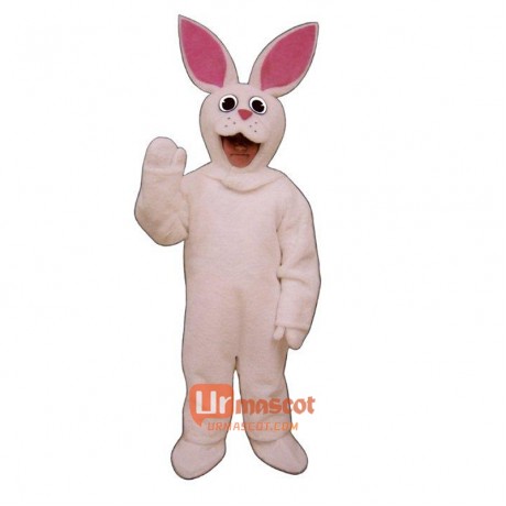 Bunny Cartoon Costume Mascot