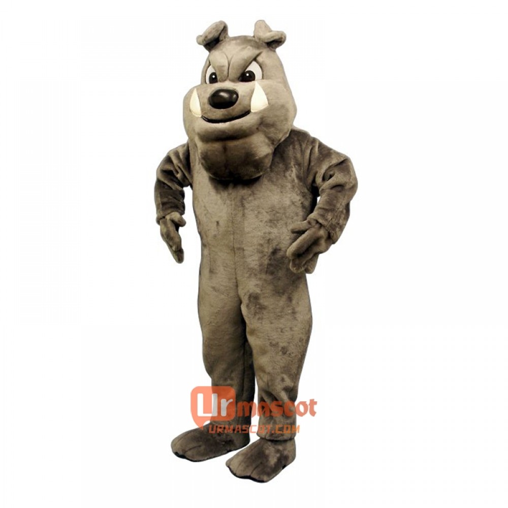 Buster Bulldog Cartoon Costume Mascot