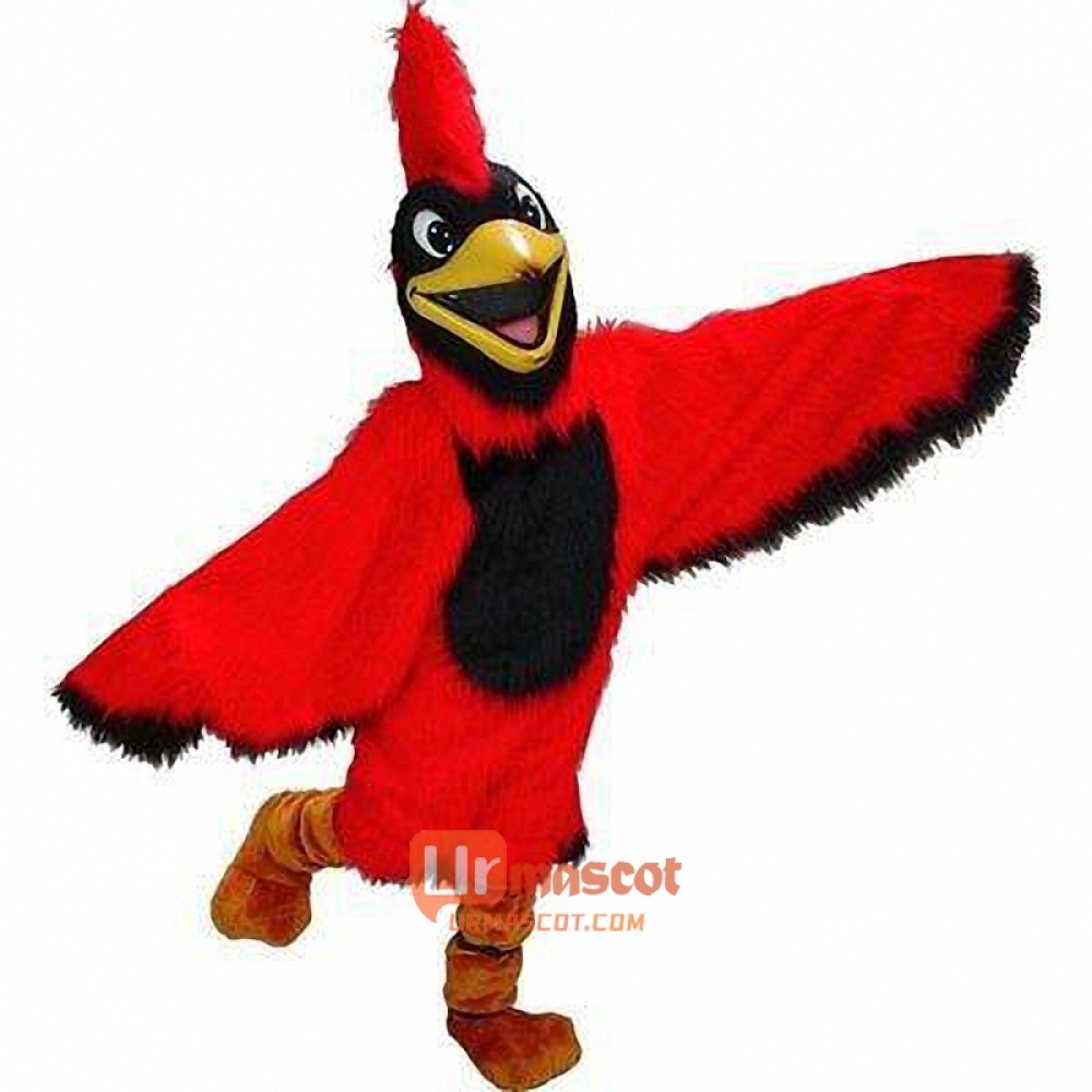 Cardinal Cartoon Mascot Costume Cosplay Outfits High Quality