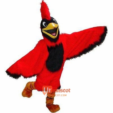 Cardinal Cartoon Mascot Costume Cosplay Outfits High Quality