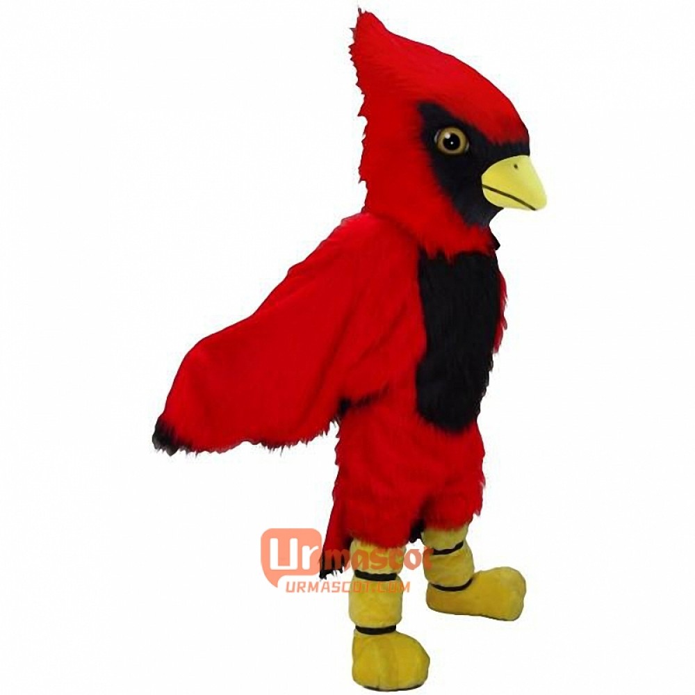 Cardinal Lightweight Cartoon Mascot Costume Cosplay Outfits