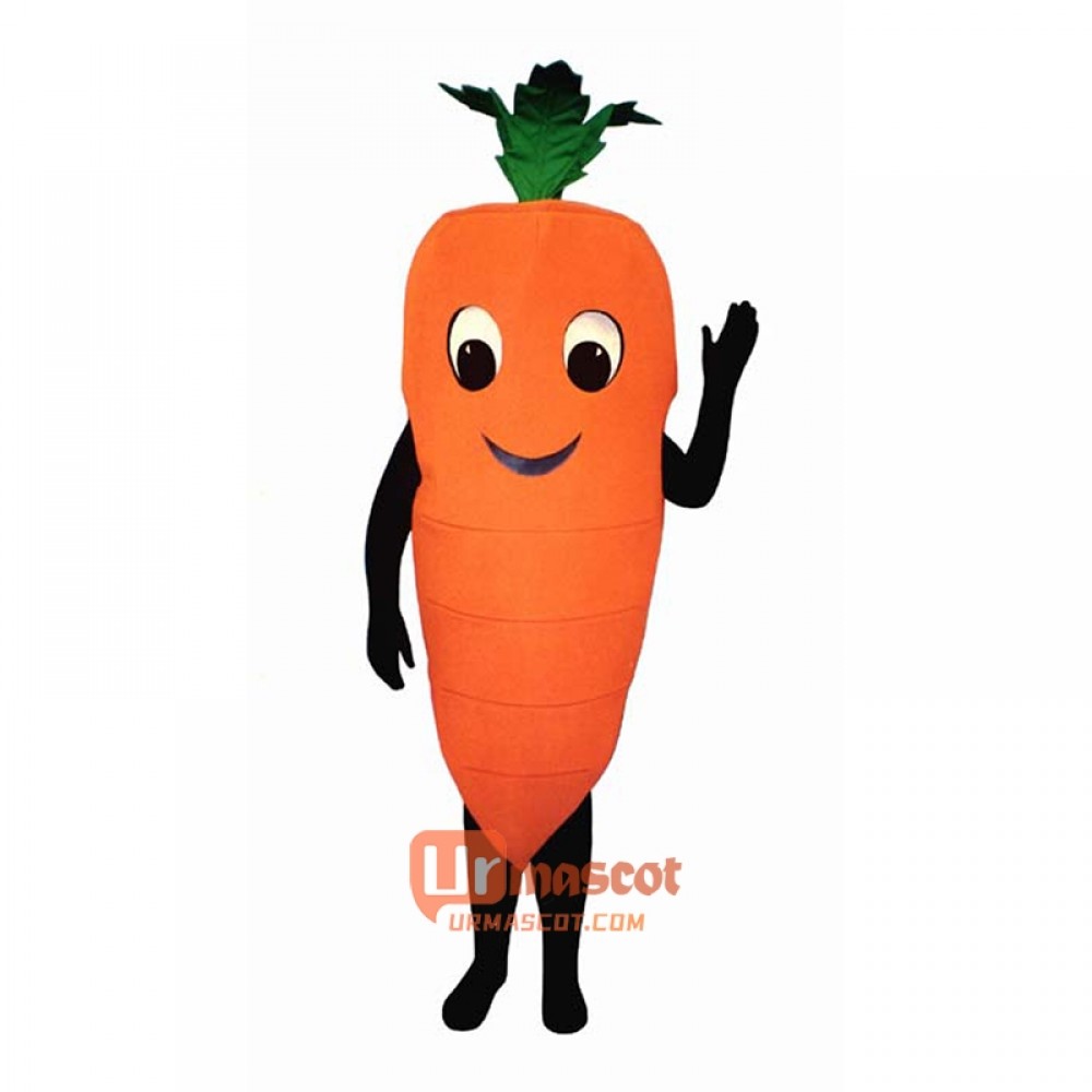 Carrot (Bodysuit not included) Cartoon Costume Mascot