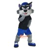 Cartoon Raccoon Cartoon Mascot Costume Plush with Mask