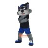 Cartoon Raccoon Cartoon Mascot Costume Plush with Mask