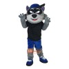 Cartoon Raccoon Cartoon Mascot Costume Plush with Mask