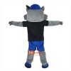Cartoon Raccoon Cartoon Mascot Costume Plush with Mask