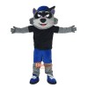 Cartoon Raccoon Cartoon Mascot Costume Plush with Mask