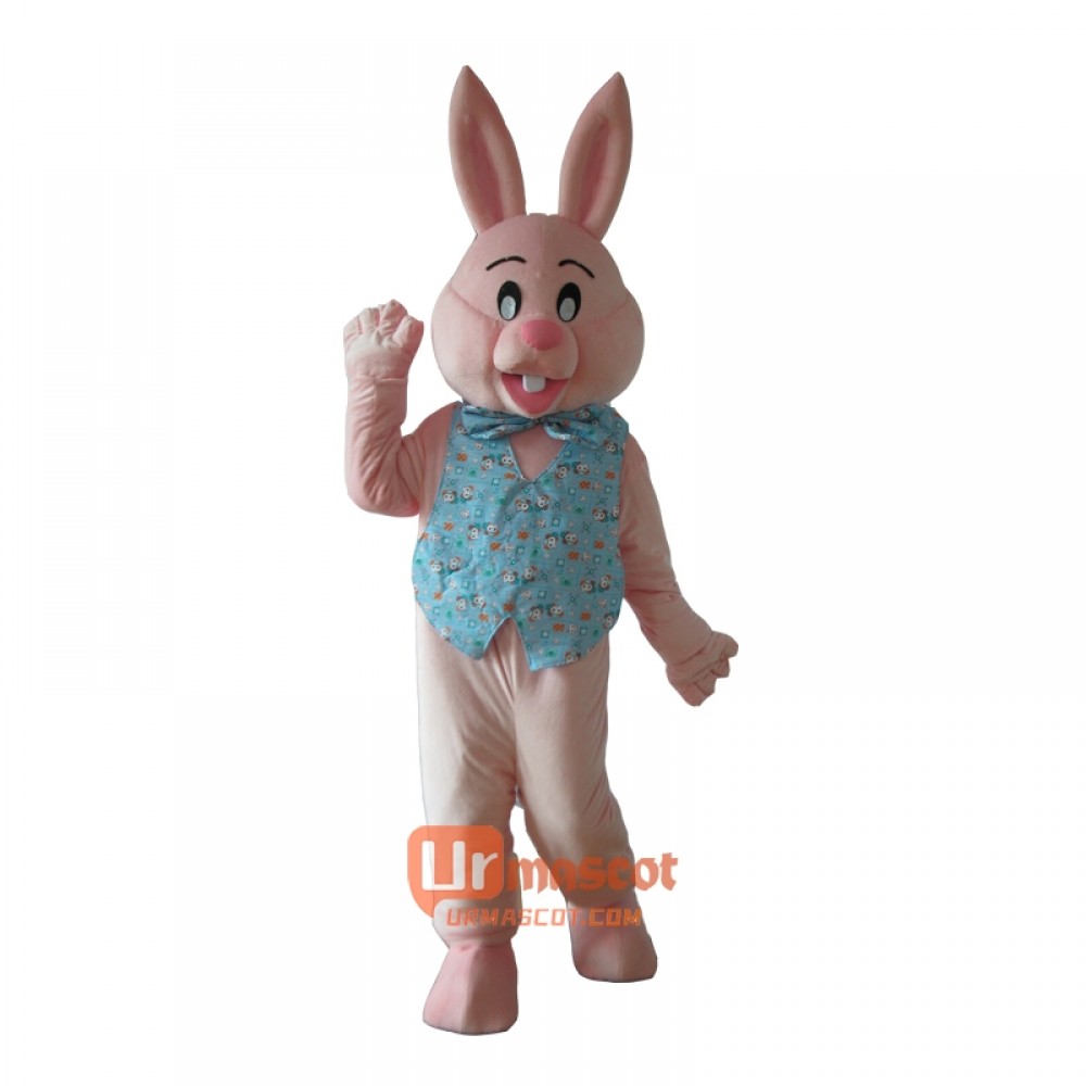 Celebrating the Easter Bunny Rabbit Mascot Cartoon Costume