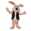 Charming Bunny Custom Cartoon Mascot Costume