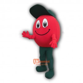 Charming Tomato Mascot Costume Cosplay Outfits