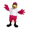 College Archie Custom Cartoon Mascot Costume