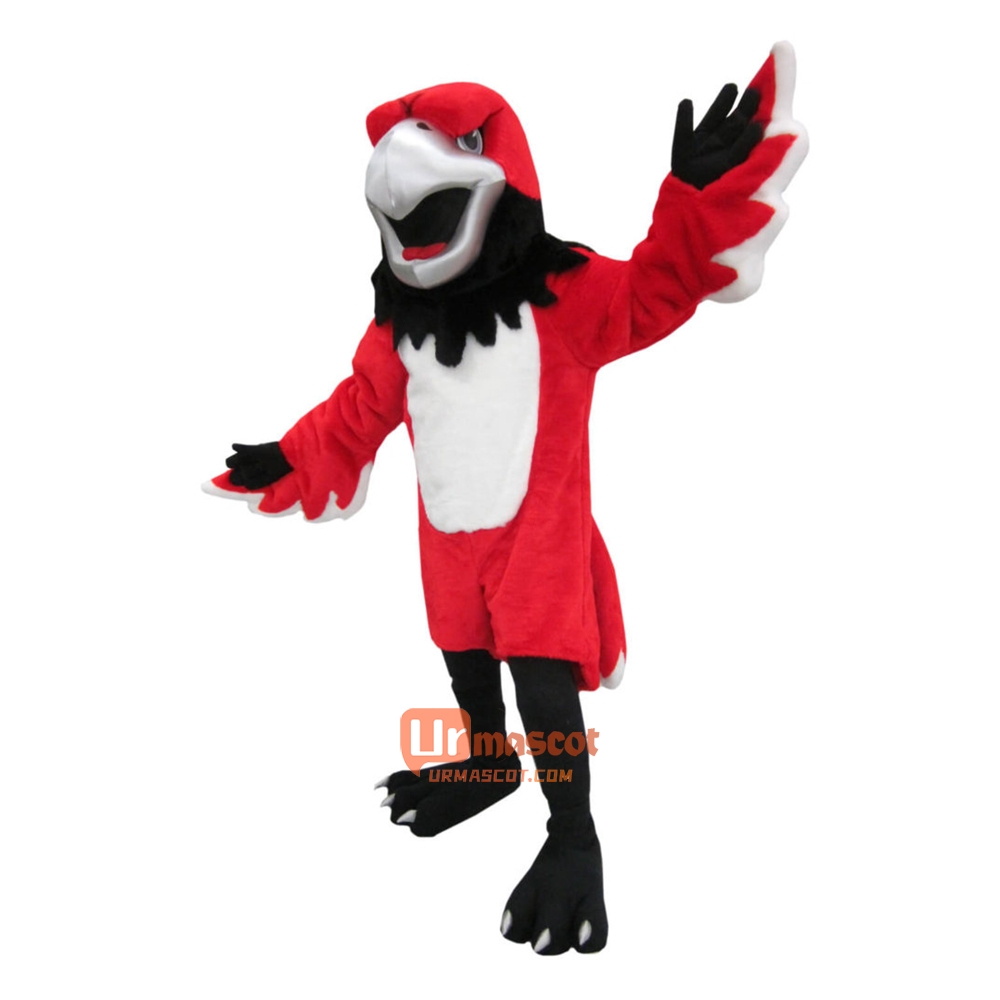 College Bird Hawk Cartoon Mascot Costume