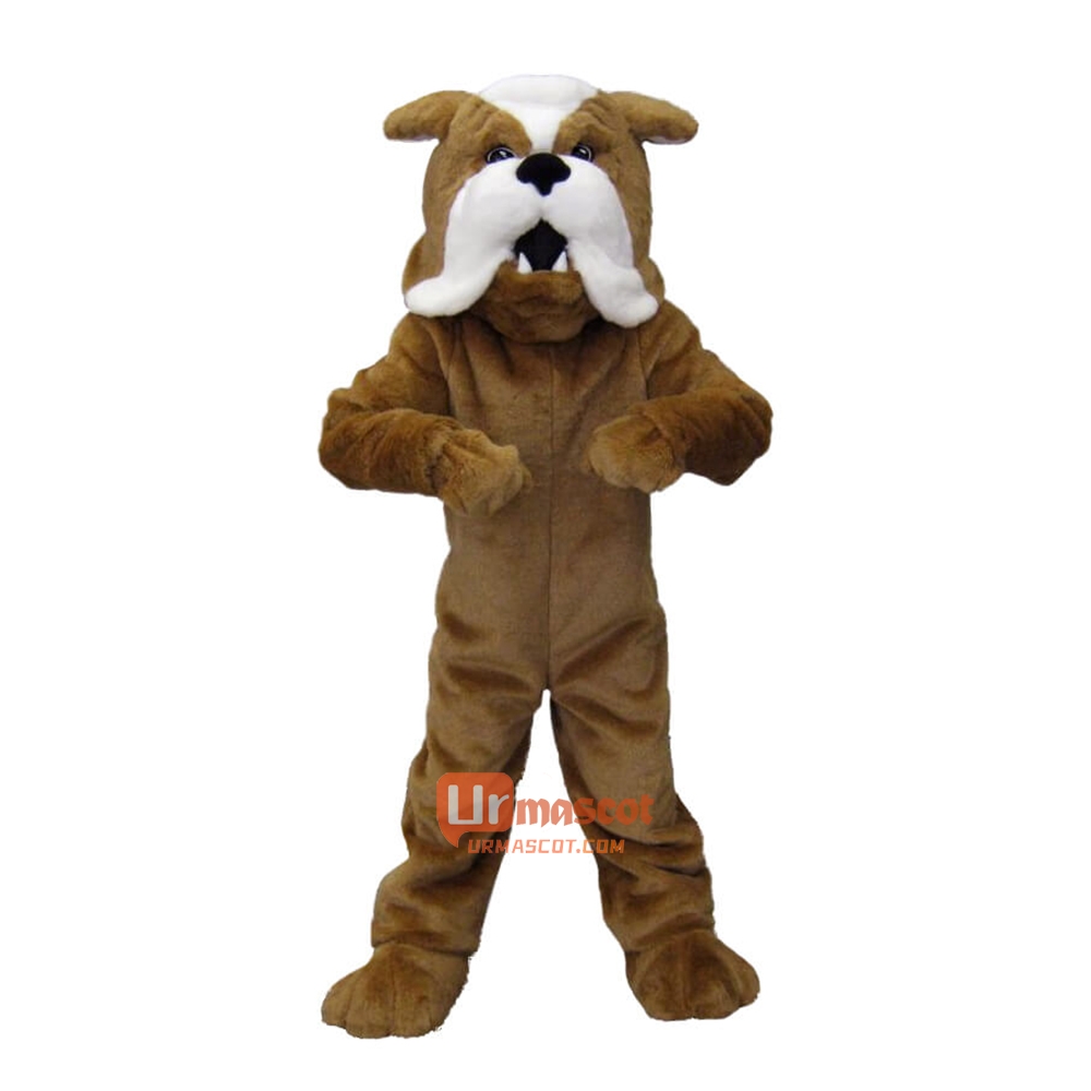 College Bulldog Cartoon Mascot Costume