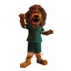 College Ferocious Handsome Lion Custom Cartoon Mascot Costume